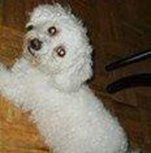 Meet your Posher, Sandra